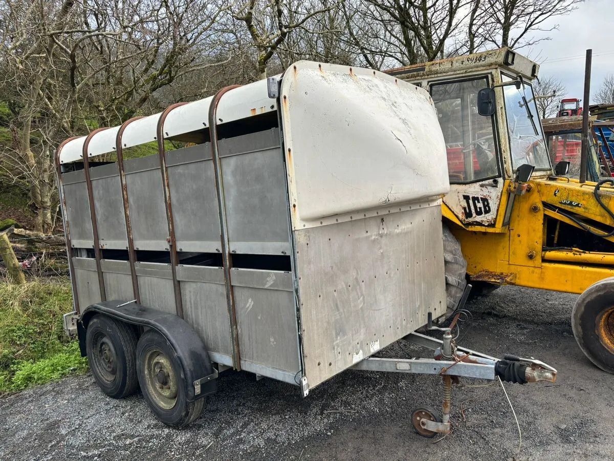10X6 Ivor Williams — used livestock trailer for sale
