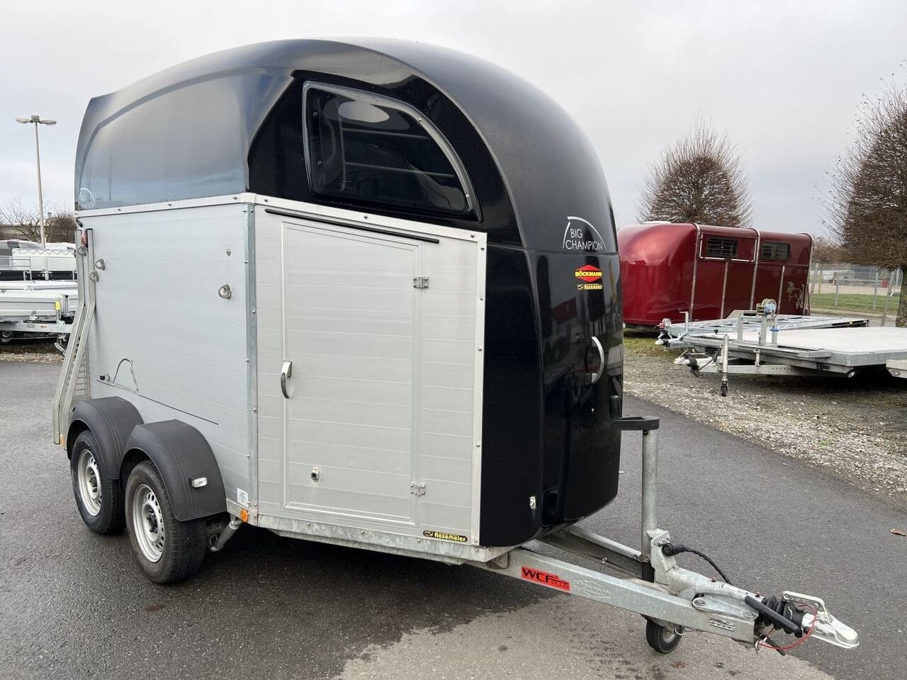 Böckmann Big Champion R - WCF Pferdeanhänger — used livestock trailer for sale