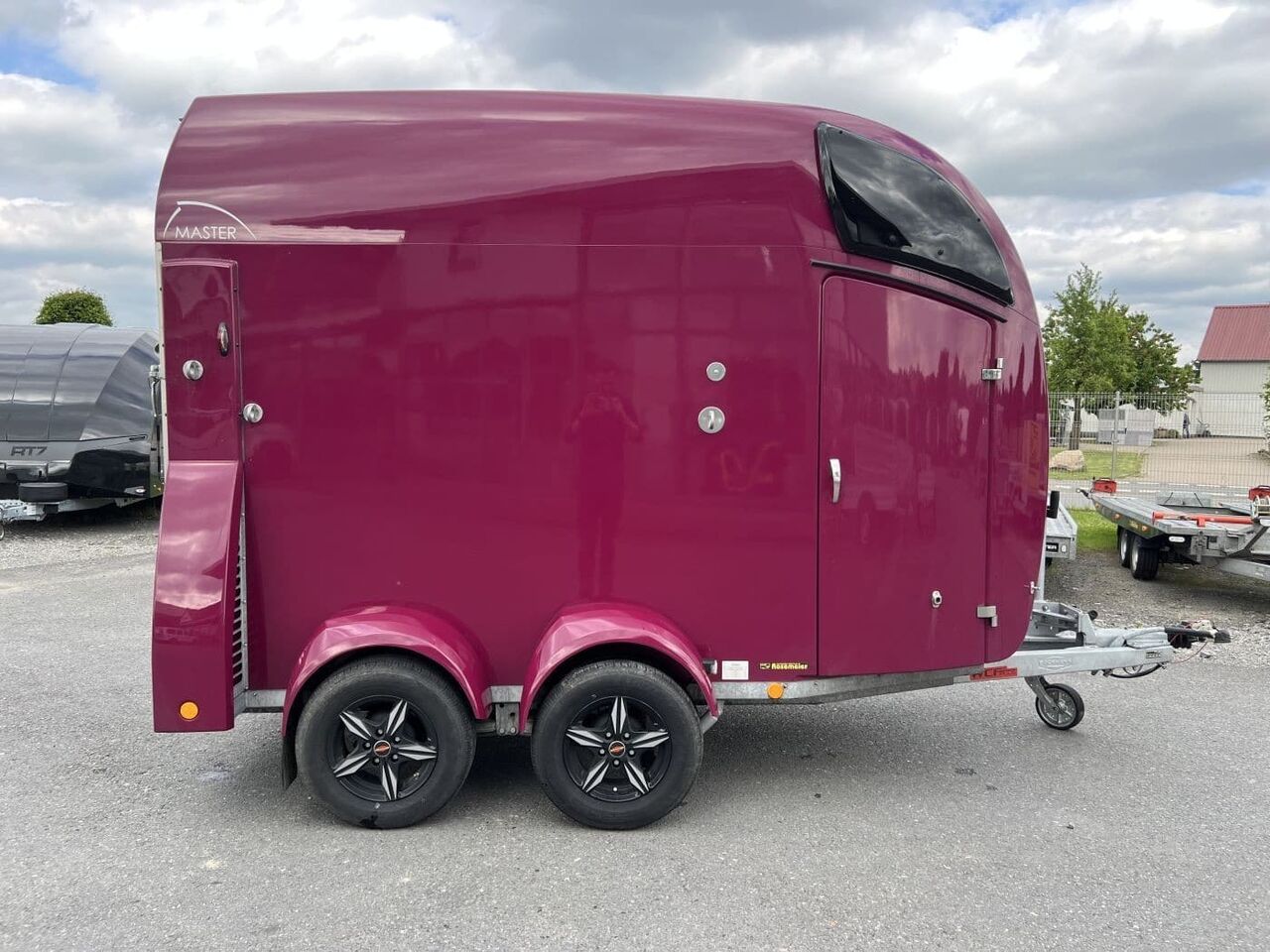 Böckmann Master 21 WCF MPT V Pferdeanhänger — used livestock trailer for sale