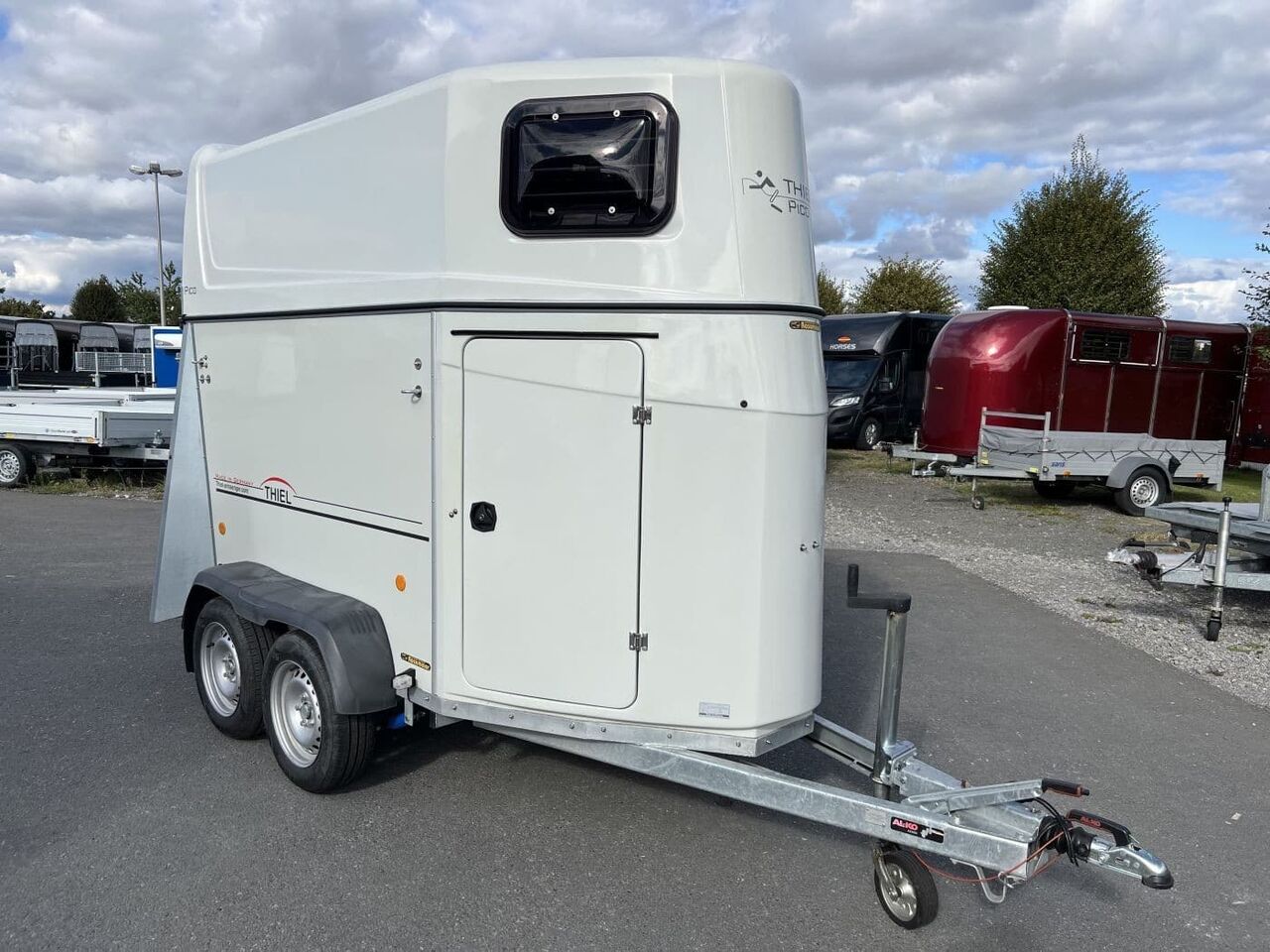 TF5 Pico Pferdeanhänger — used livestock trailer for sale
